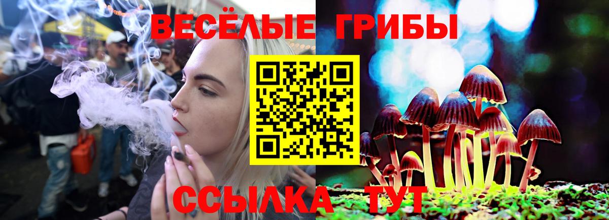Псилоцибиновые грибы мухоморы  Вход с VPN  Старая Купавна  где купить наркоту  Галлюциногенные грибы GOLDEN TEACHER 